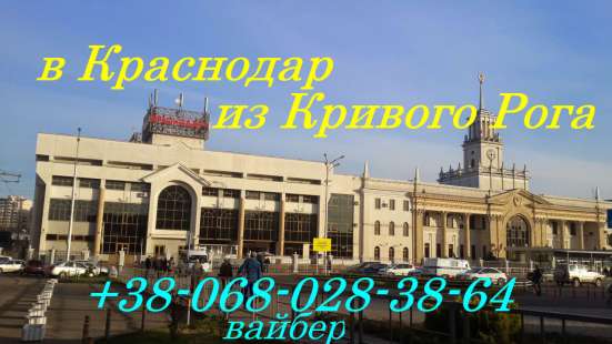 Поездки в Москву, Краснодар фото 7