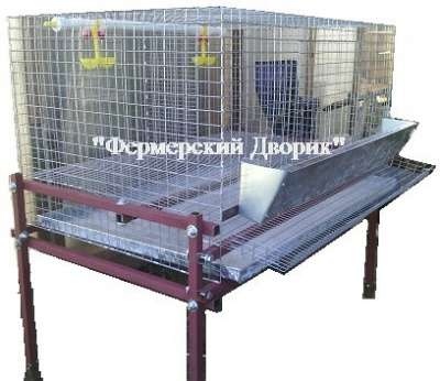 Клетки для перепелов в Твери