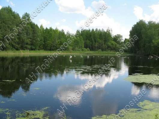 realty_mapper3.plot_in_locationПлощадь 8.00 сот.Есть Электричество, Водопровод. в Красногорске