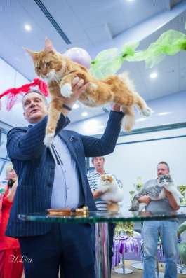 Приглашение на вязку фото 4