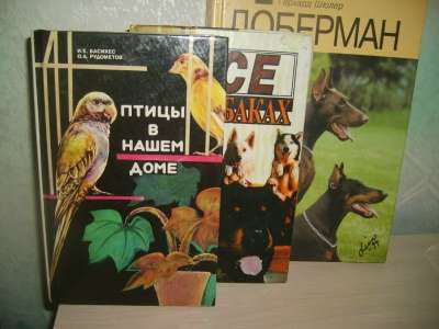 Серия "В мире животных"