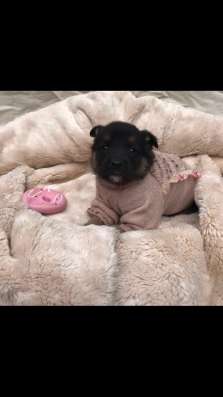 наша няшка хочет домой