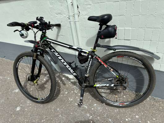 CANNONDALE trail sL 29