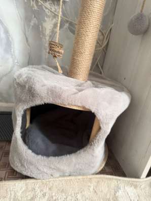 Домик для кошки в Томске
