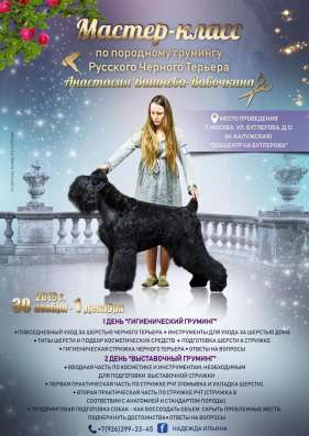 Стрижка чёрных терьеров в Москве фото 4