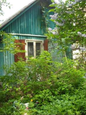 Продаю дачу. Срочно! в Москве фото 18