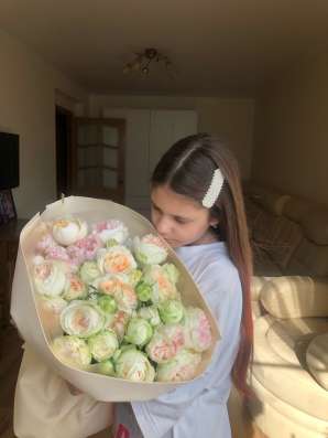Выгул собак и кошек