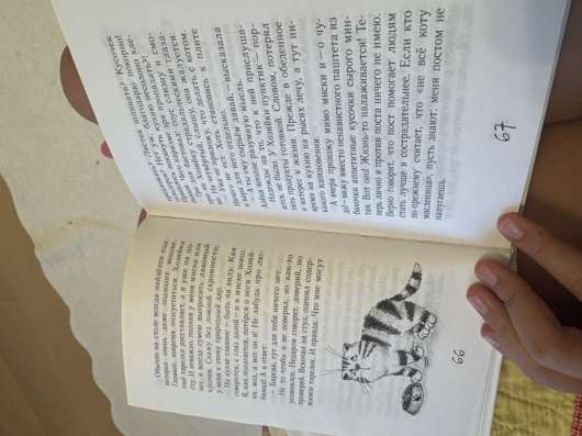 Книжка БЛОГ Кото- сапиенса в Новосибирске