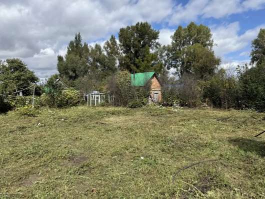 Сад, огород в Салавате фото 4