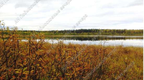 realty_mapper3.plot_in_locationСадовое некоммерческое тов-во. Площадь 6.00 сот.Есть Электричество. в Москве фото 14