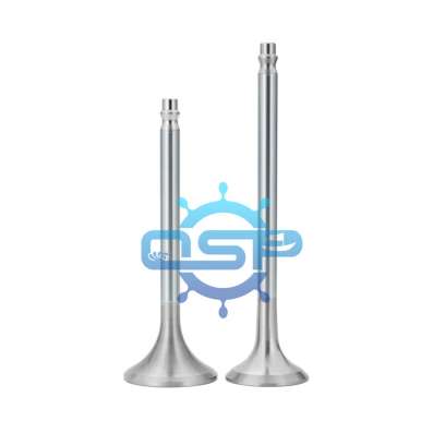 D49 valve spindle valve seat