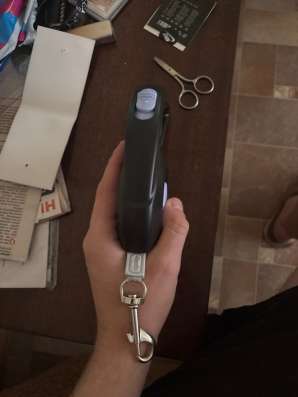 Рулетка для собак в Тейково