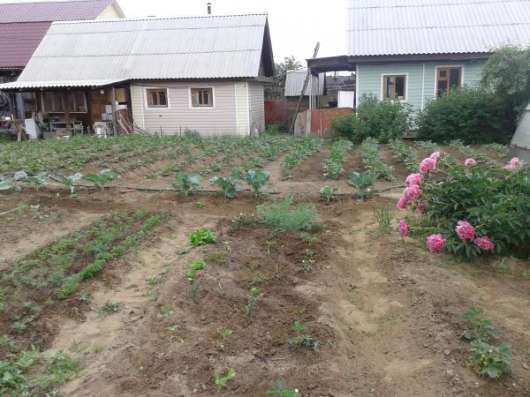 Коттедж в Шелехове. Обмен, продажа в Иркутске фото 4