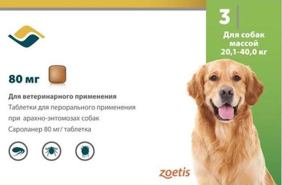 Обработка собак от блох и клещей Симпарика в Анапе