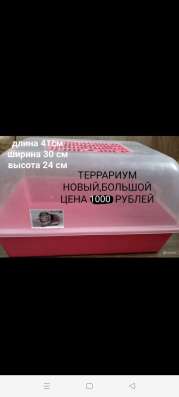 Товары для животных в Борисоглебске фото 8