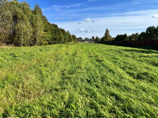 Продажа земельного участка в Лобне фото 4
