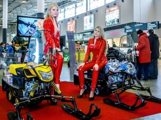 Снегоход DINGO T125 в Нижнем Новгороде фото 5