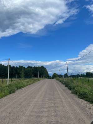 Продается 1,1 га в Тосно фото 4