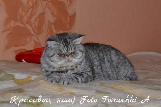 Вязка с экзотом