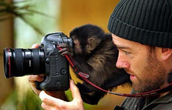 Курсы искусства фотографии !