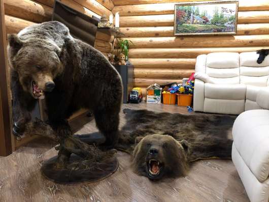 Медвежья шкура в Москве