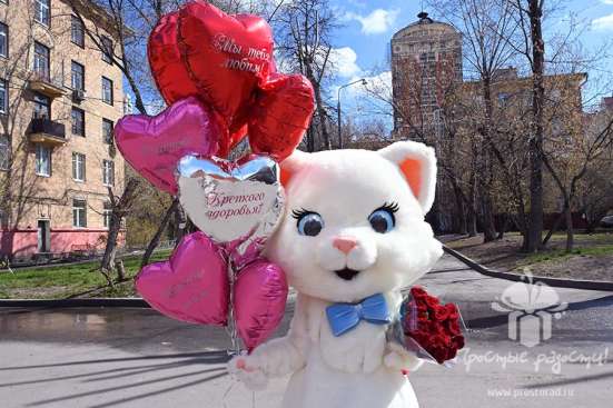 Ростовая кукла с аниматором: Котик! в Москве фото 4