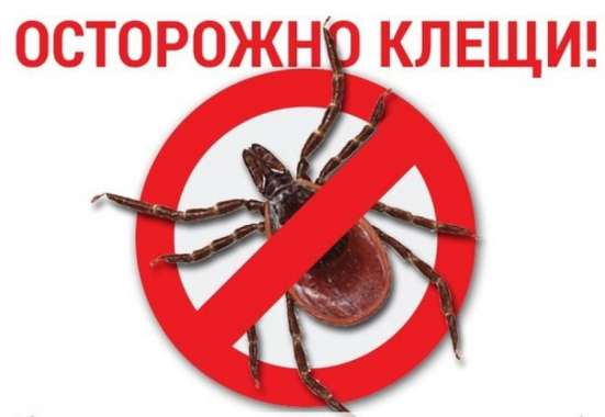 Обработка участка от клещей в Казани и области в Казани