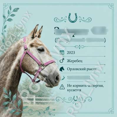 Конные таблички на денник лошади?