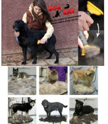 Фурминатор для кошек в Краснодаре