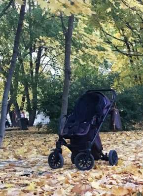 Коляска анекс кросс 3в1 в Москве фото 3