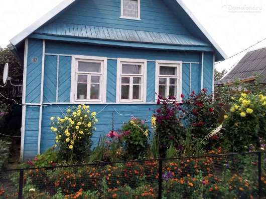 Продажа Дамов в Новосибирске