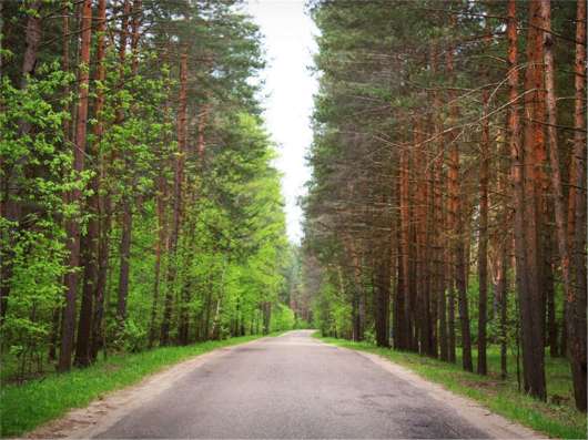Продам четырехкомнатную квартиру в Тверь.Жилая площадь 106  кв.м.Дом кирпичный. в Твери фото 19