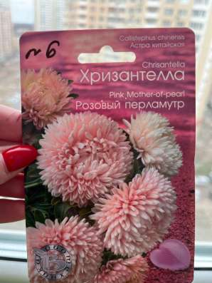 Рассада цветов в Люберцы