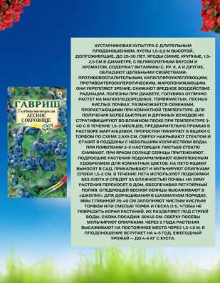 Семена голубики
