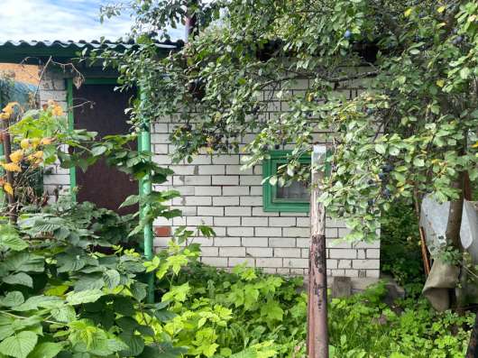 Продаем дачу в Дзержинске фото 3