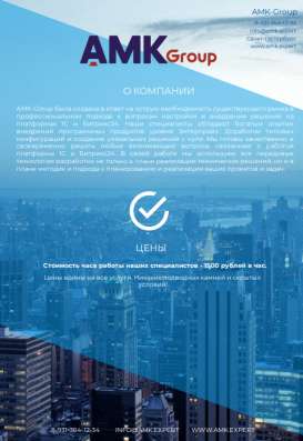Комплексное обслуживание систем 1С и Битрикс24 в Санкт-Петербурге
