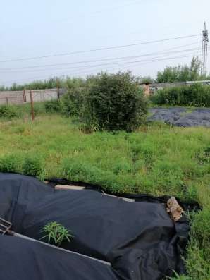 Продаетcя дом в Сургуте фото 7