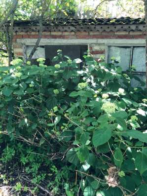 Продам дачу в Воскресенске фото 4