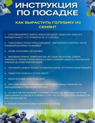 Семена голубики в Москве