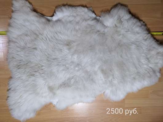 Шкуры овчина, коза, Яка в Брянске фото 9