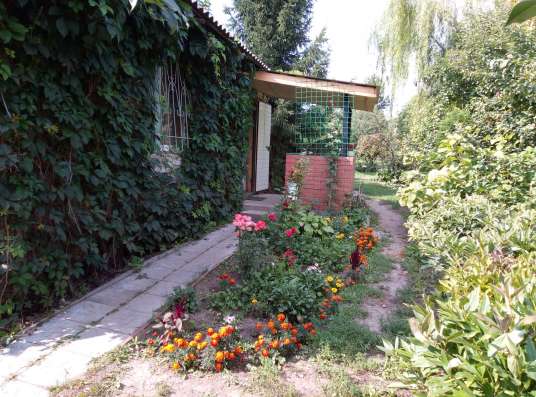 Продаю дачу за Волгой! в Самаре фото 17