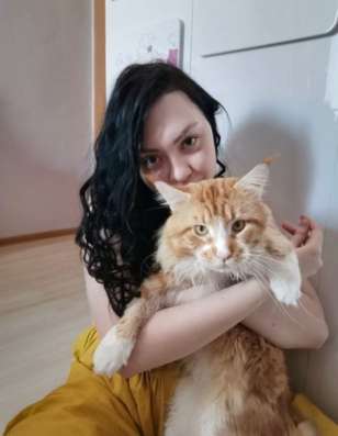 Передержка домашних животных в Люберцы фото 3
