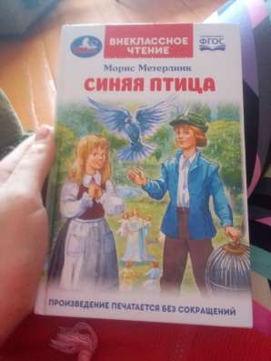 Книга синяя птица