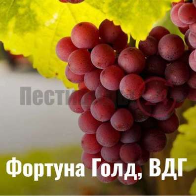 Фортуна Голд ВДГ (Фунгицид)