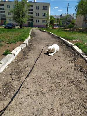 Продается 2-х ком. квартира в Энгельсе