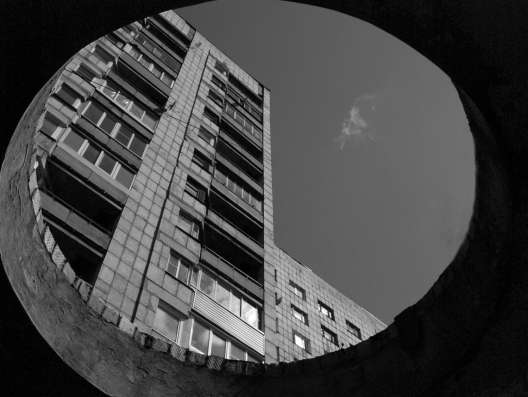 Фото на тему: домашние животные в Тихвине фото 3
