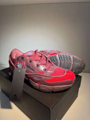 Raf Simons ozweego 3
