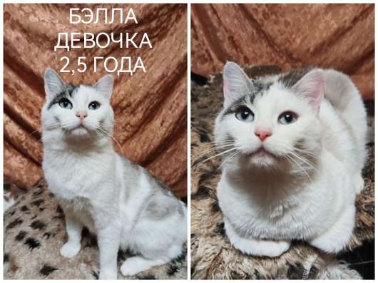 ПОЖАЛУЙСТА, НЕ ПРОХОДИТЕ МИМО!!! фото 7