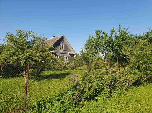 Продам дачу возле Нарвы. Участок 3700м2 фото 6