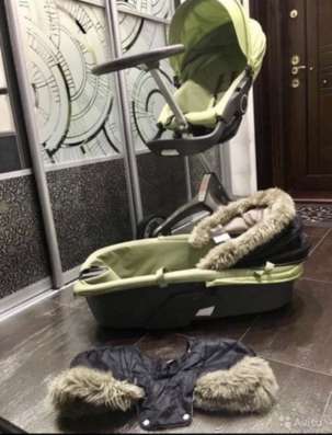 Колчака stokke в Ставрополе